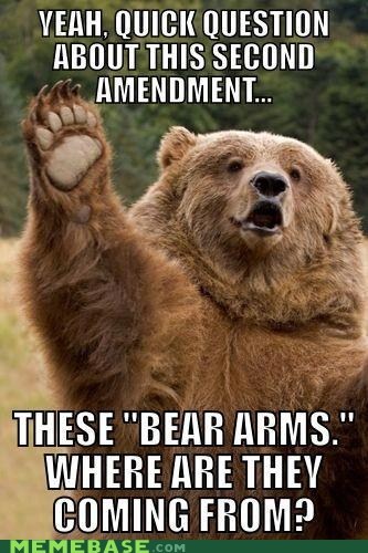 They're Bearly Constitutional