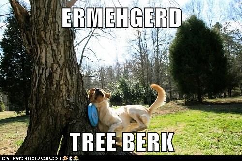 ERMEHGERD  TREE BERK