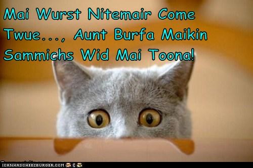 Mai Wurst Nitemair Come Twue..., Aunt Burfa Maikin Sammichs Wid Mai Toona!
