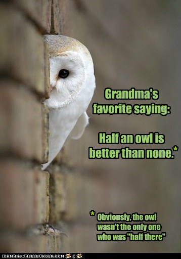 Grandmas Are Very Educational