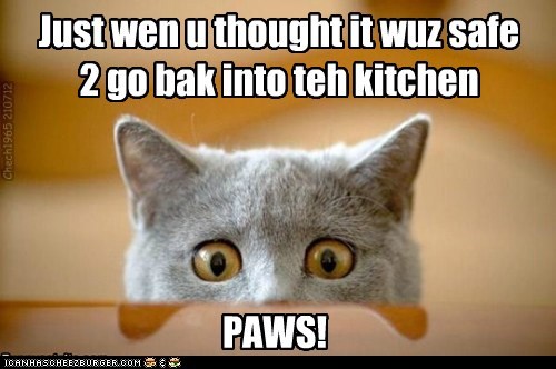 It wuz a dark and stormy nite in teh kitchen