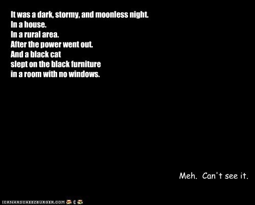 It was a dark, stormy, and moonless night. In a house.  In a rural area. After the power went out. And a black cat slept on the black furniture in a room with no windows.