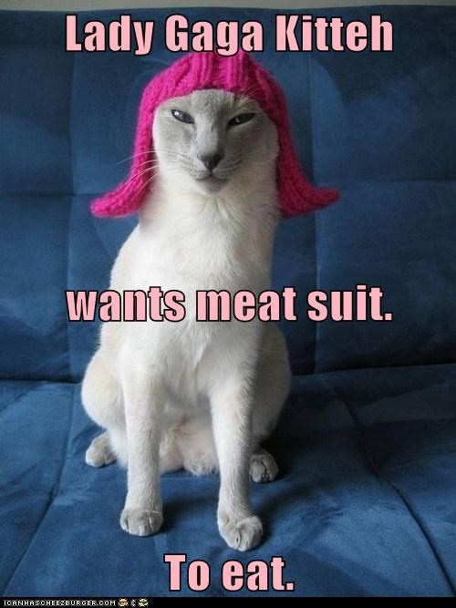 Lady Gaga Kitteh  wants meat suit. To eat.
