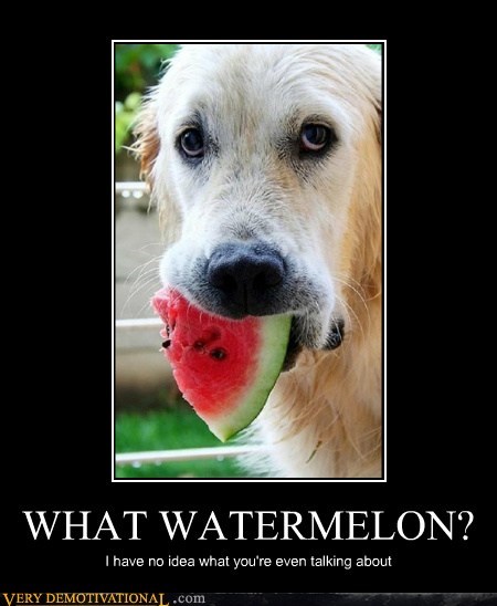 WHAT WATERMELON?