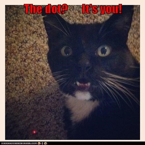 The dot?     