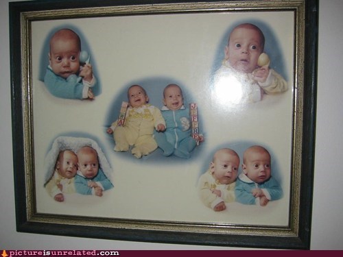 Herp Derp Babies 