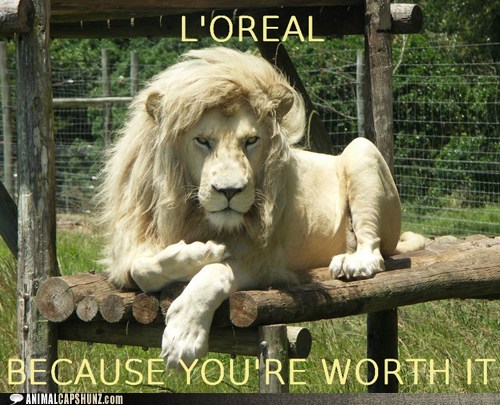 Animal Capshunz: Always Knew Lions were Sell Outs