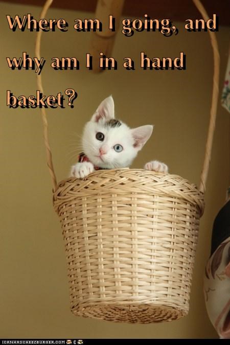 Where am I going, and why am I in a hand basket?