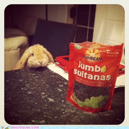 Daily Squee: Reader Squee - Climbing Great Heights 