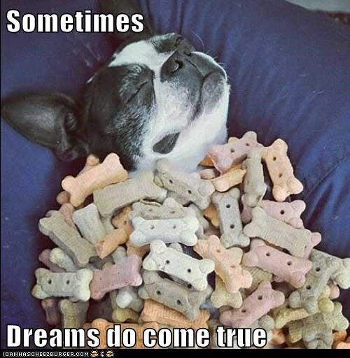 Sometimes  Dreams do come true