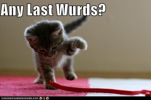 Classic LOLcat