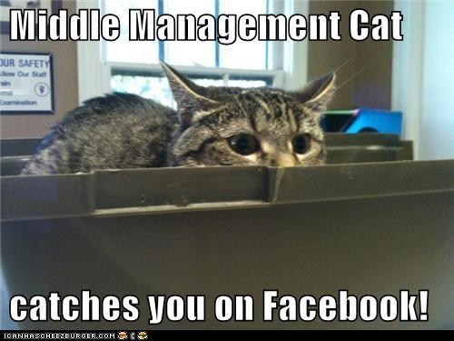Classic LOLcat