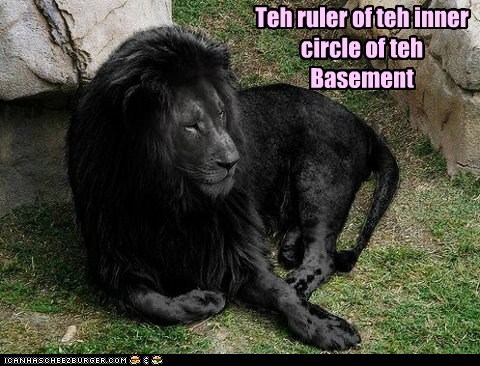 Basement Cat Supreme