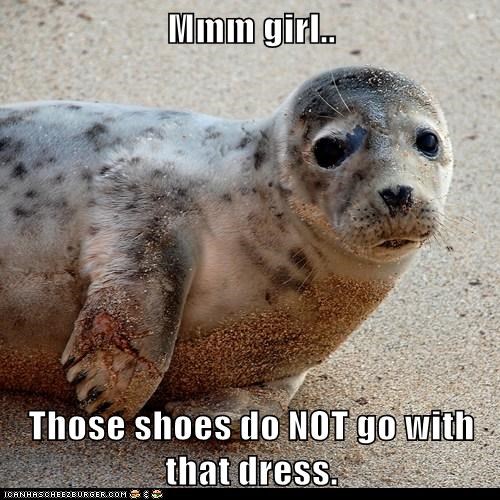 You Do Not Get My Seal of Approval