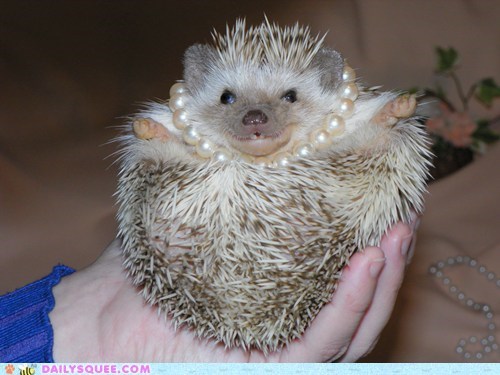 Daily Squee: Reader Squee - Pearls