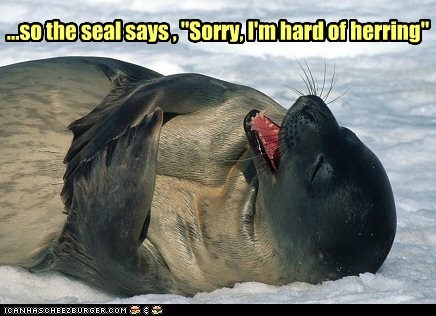 Oh, I Kill Me