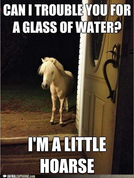 Come On, Pony Up