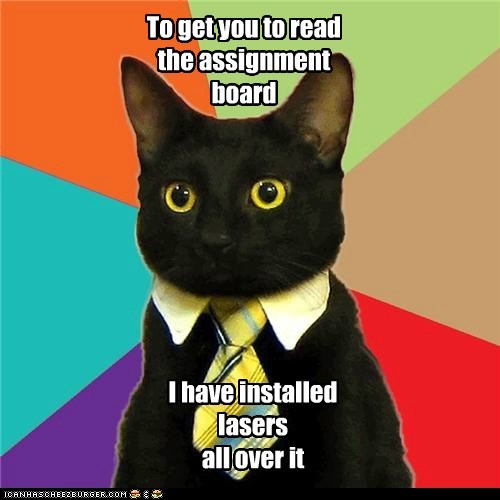 Animal Memes: Business Cat - It's Called Employee Incentive