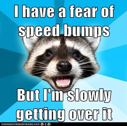 Animal Memes: Lame Pun Coon - It's Driving Me Crazy