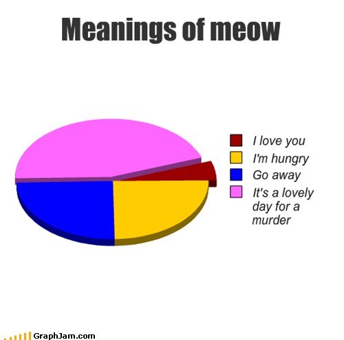 Inside the Mind of a Cat