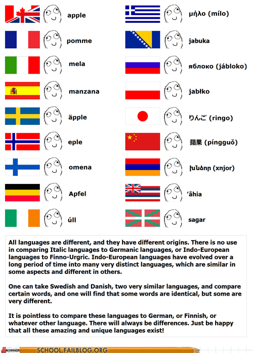 Geography 235: The Truth Behind the Meme