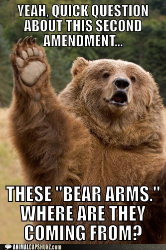 Animal Capshunz: A Valid Concern