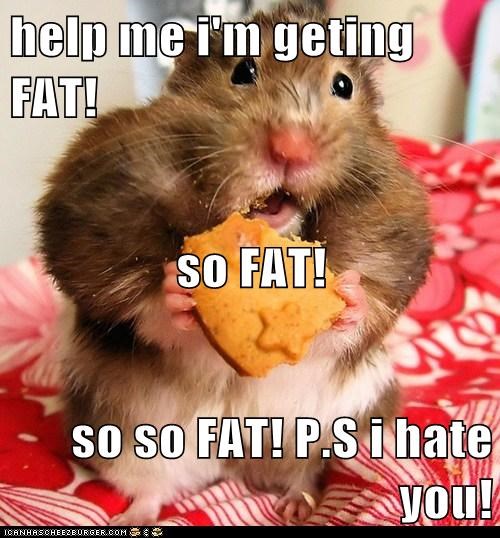 help me i'm geting FAT! so FAT! so so FAT! P.S i hate you!