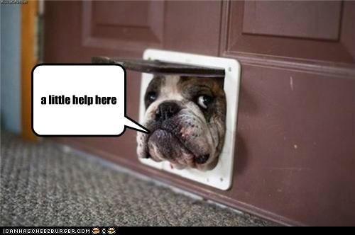 a little help here