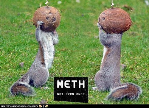 No More "Breaking Bad" for You, Squirrel!