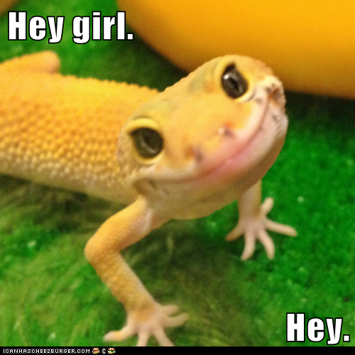 Hey girl.  Hey.