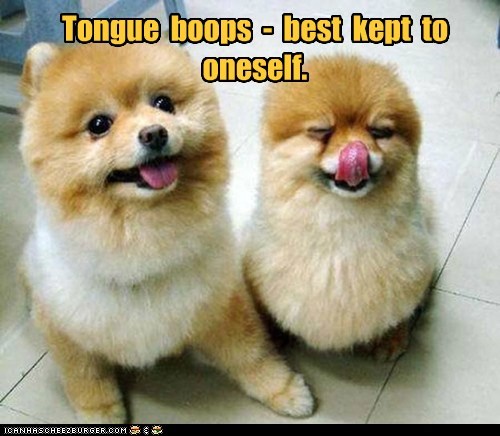 I Has A Hotdog: Tongue Boops 