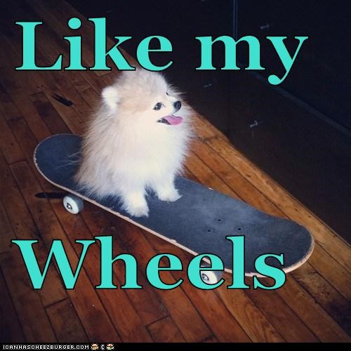 Like my  Wheels