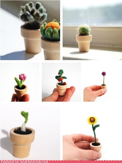 How Does Your Garden Grow?