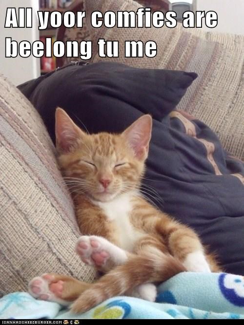 All yoor comfies are beelong tu me