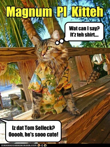 Iz dat Tom Selleck? Ooooh, he's sooo cute!
