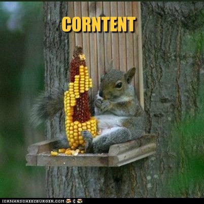 Animal Capshunz: Best They've Ever Posted