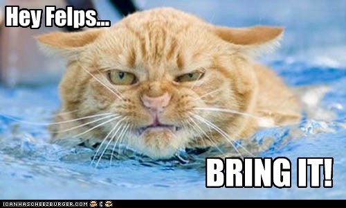 Lolcats: Hey Felps...