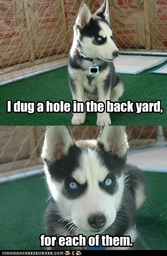 I dug a hole in the back yard,