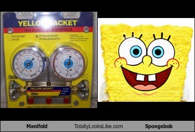 Manifold Totally Looks Like Spongebob Squarepants
