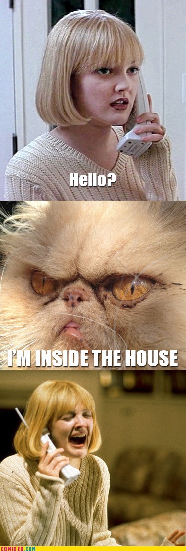 I Heard the Can Opener