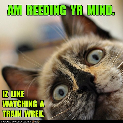 Lolcats: IN SLOW MO, TOO