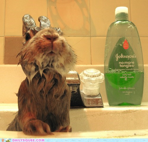 Bunday: Soaking Wet 