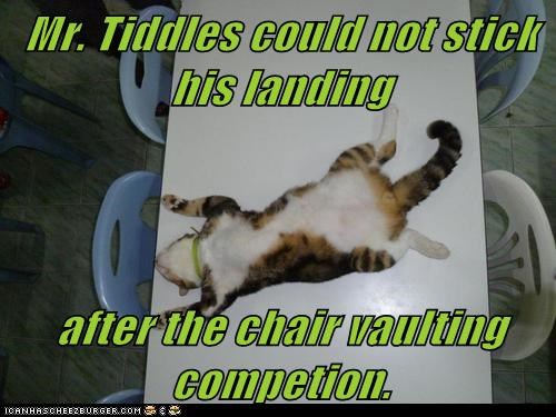 Mr. Tiddles could not stick his landing   