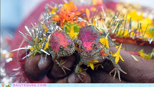 Frog Wedding 