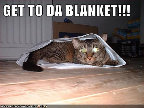 GET TO DA BLANKET!!!
