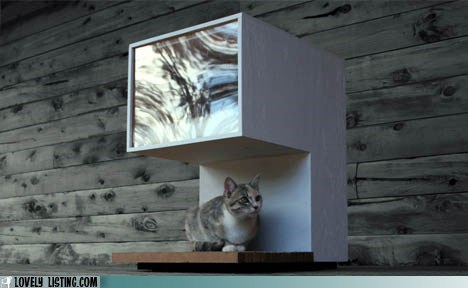Modern Kitty Luxury