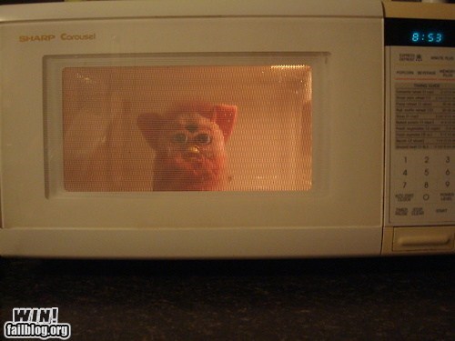 WIN!: Making Use of Your Furby WIN