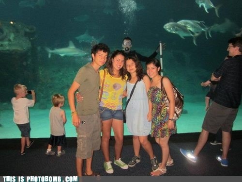 Bombing With the Fishes