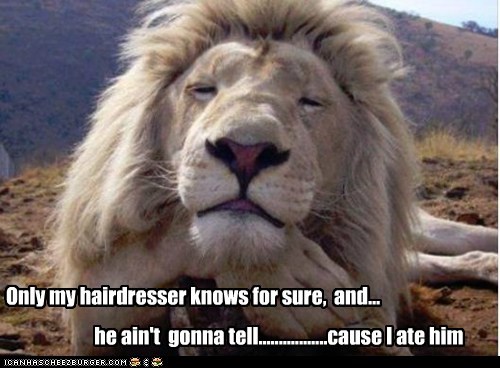 Animal Capshunz: Dye Job You Say?