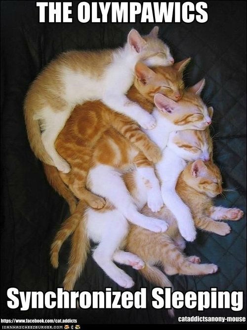 The Cutest Gold Medal Winners EVAR!